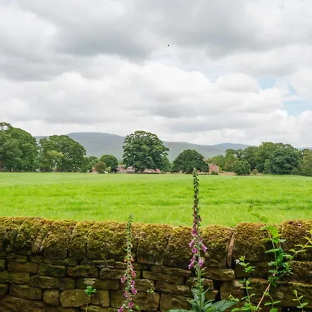 Tatil Evi The Harmony Hut *