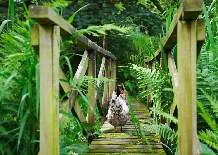 1 Bed In Oc-t29760 度假居 *