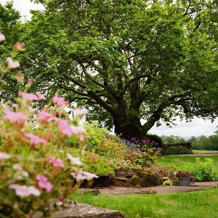 The Harmony Hut Prázdninový dům