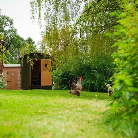 The Harmony Hut Prázdninový dům *